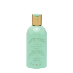 Гель для душа тонизирующий для чувствительной кожи / Jade Plant Bath Gel 250 мл