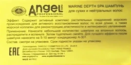 Шампунь для сухих и нейтральных волос / Angel Professional 5000 мл