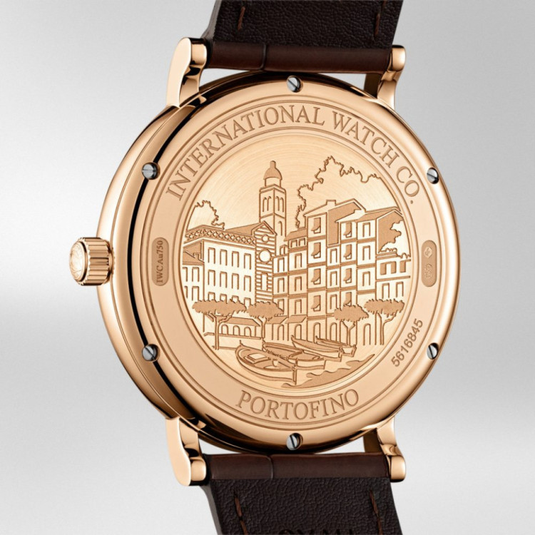 IWC IW356511/5495061