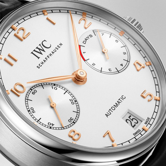 IWC IW500704/6059580