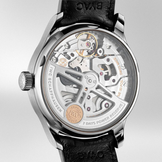 IWC IW500704/6059580