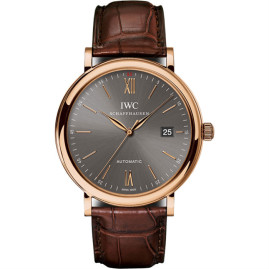 IWC IW356511/5495061