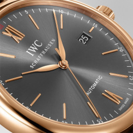 IWC IW356511/5495061