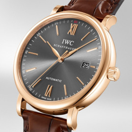 IWC IW356511/5495061