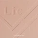 Скульптор для лица, 01 Cinnamon dust / Sculpt Lic 11 гр