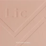 Скульптор для лица, 01 Cinnamon dust / Sculpt Lic 11 гр