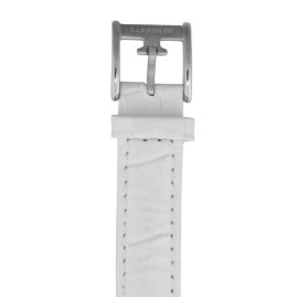 Thomas Earnshaw ES-0021-01