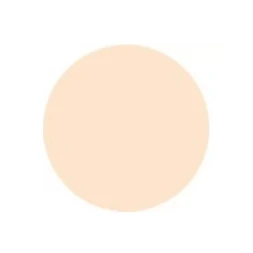 Пудра камуфляжная SPF 17 №0 / Concealing Powder Foundation Pale MAKEUP 14 г