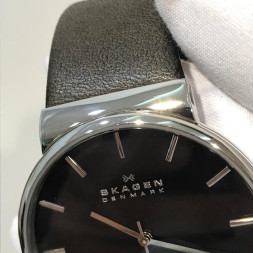 Skagen SKW6104 уценка