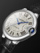 Cartier WSBB0039/275632AX/4345