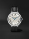 Cartier WSBB0039/275632AX/4345