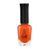 072 лак профессиональный укрепляющий для ногтей с биокерамикой / Nail polish PROLAC+bioceramics 12,5 мл