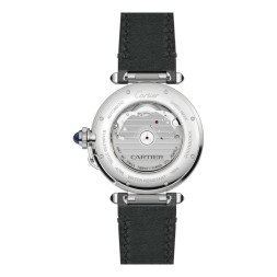 Cartier WSPA0010/4266258843AX