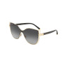 DOLCE&GABBANA 0DG2236-02/8G28 Очки с/защитные