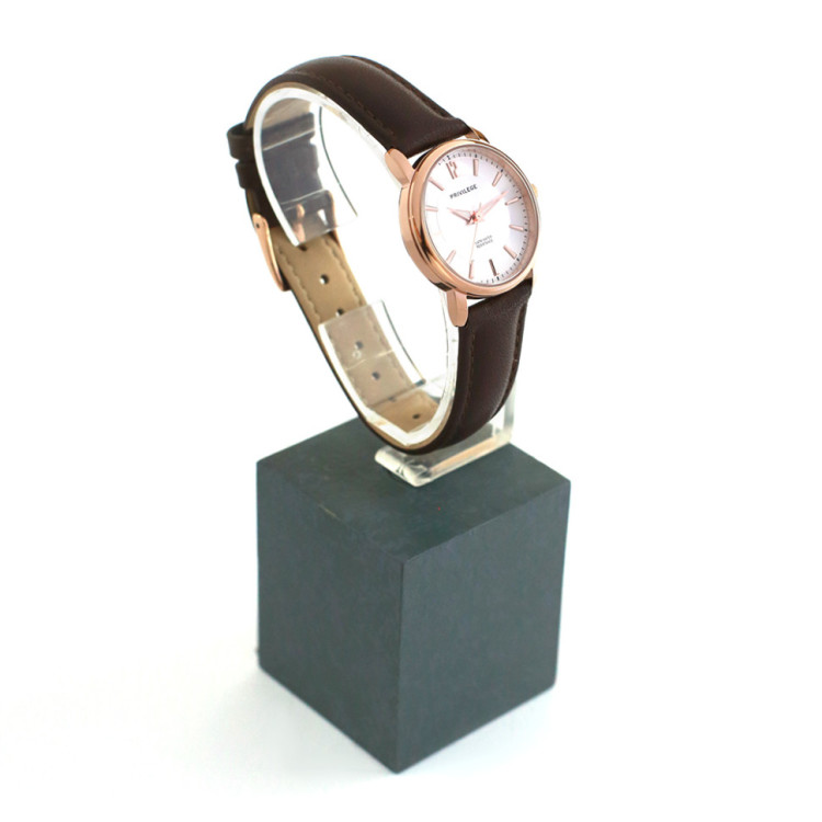 Privilege 2206LE/ASE2NE