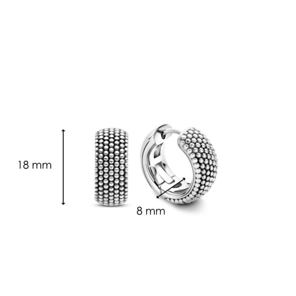 TI SENTO Серьги Earrings silver 925 (7895SI)