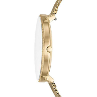 Skagen SKW2722