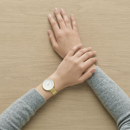 Skagen SKW2722