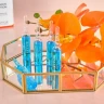 Лосьон восстанавливающий интенсивный придающий сияние / Repair Intensive Illuminating Lotion 12*8 мл