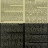 Лосьон для коррекции цвета волос / RevoLotion 150 мл + 150 мл
