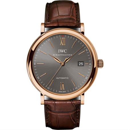IWC IW356511/5495061