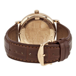 IWC IW356511/5495061