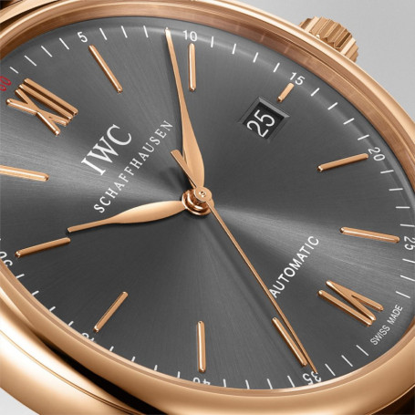 IWC IW356511/5495061