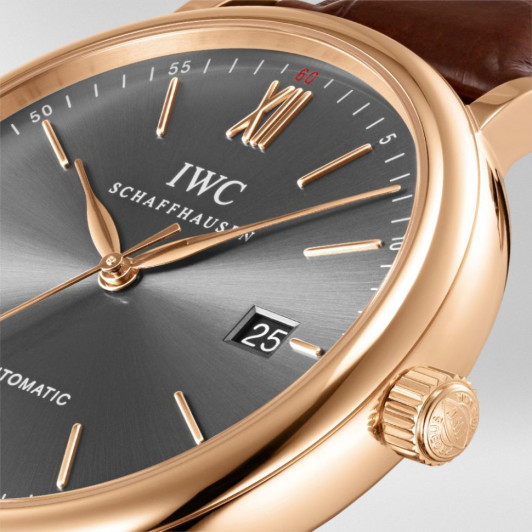 IWC IW356511/5495061
