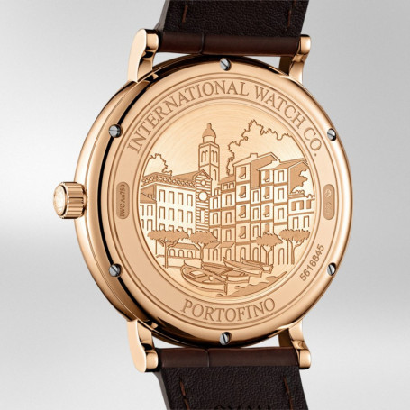 IWC IW356511/5495061