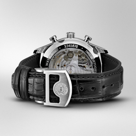 IWC IW390303 №6069795