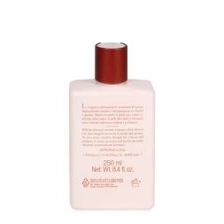 Гель для душа освежающий / Berries Flowers Wood Shower Gel 250 мл