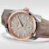 Omega 22023382006001/82222745